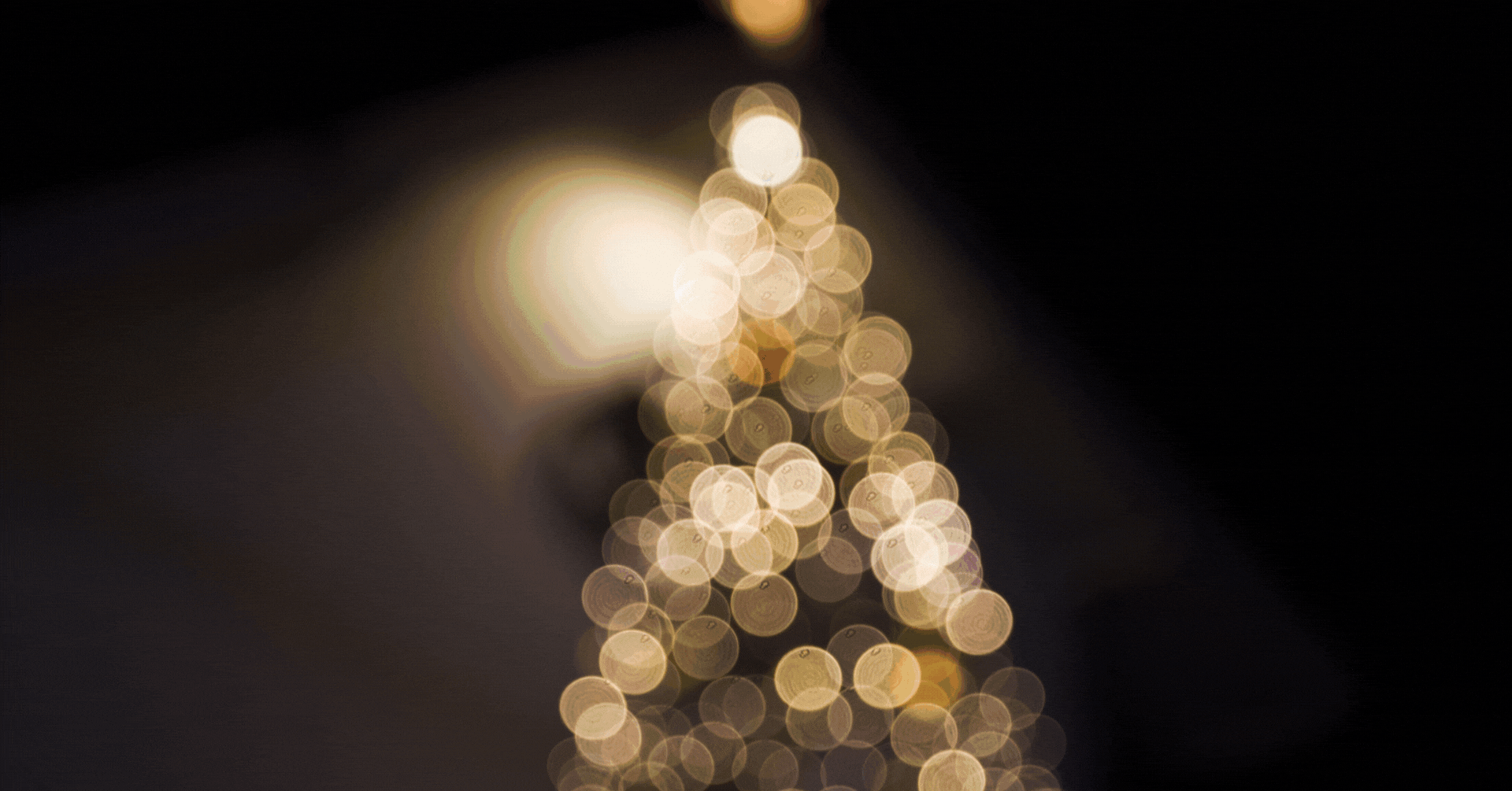 Tropicana 12 Dec 2025